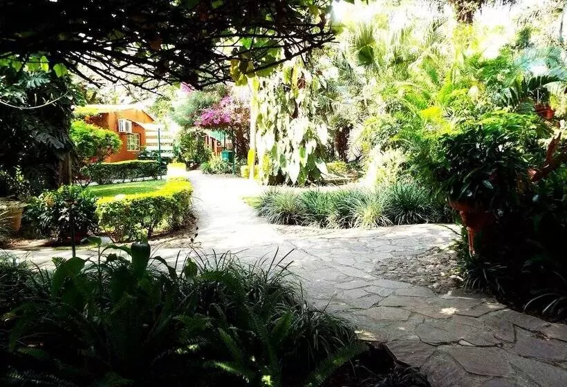 Fotos del hotel Palmwood Lodge:  16