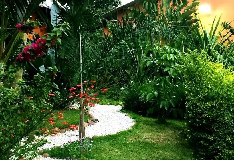 Fotos del hotel Palmwood Lodge:  20