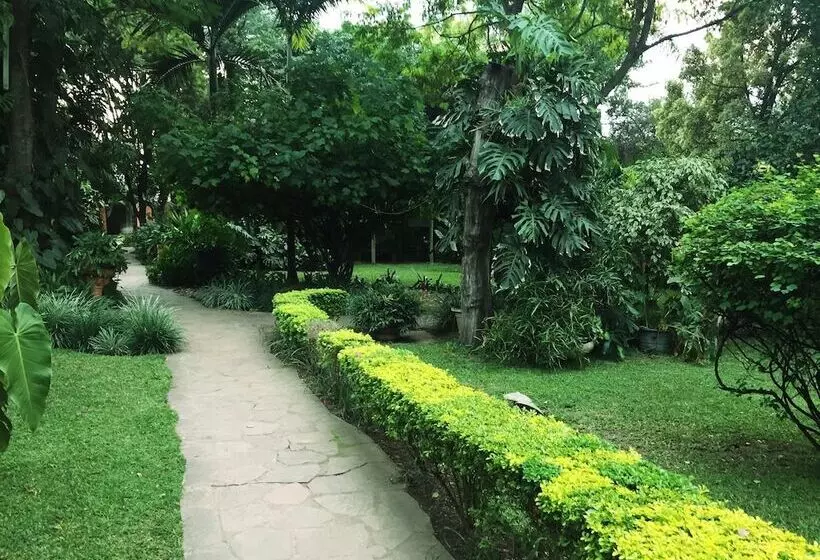 Fotos del hotel Palmwood Lodge:  21