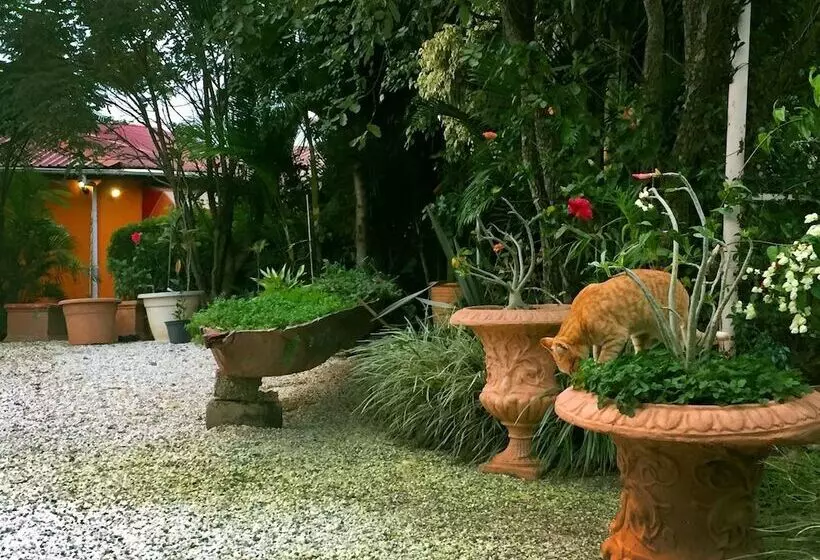 Fotos del hotel Palmwood Lodge:  2