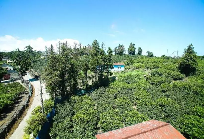 Fotos del hotel Port Avenue:  12