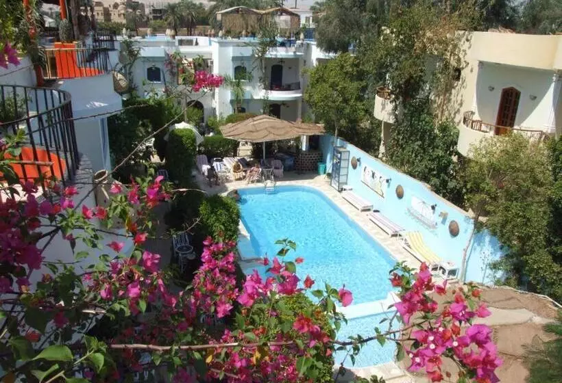 Fotos del hotel El Gezira Garden Hotel Luxor:  1