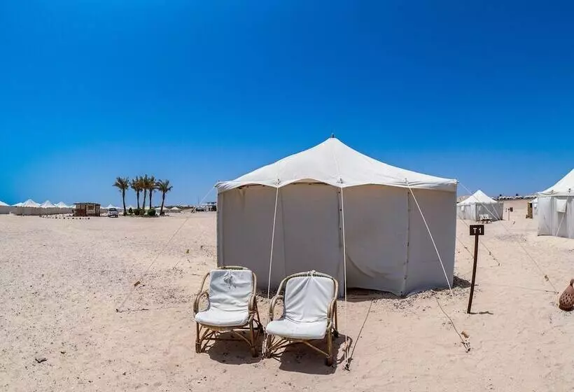 Fotos del hotel Marsa Shagra Village:  15