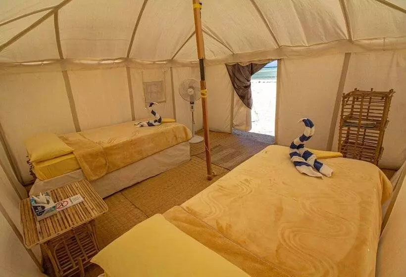 Fotos del hotel Marsa Shagra Village:  6