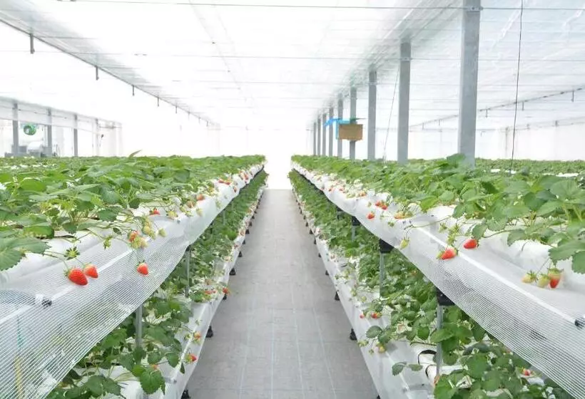 Fotos del hotel Nikko Station  Classic:  9