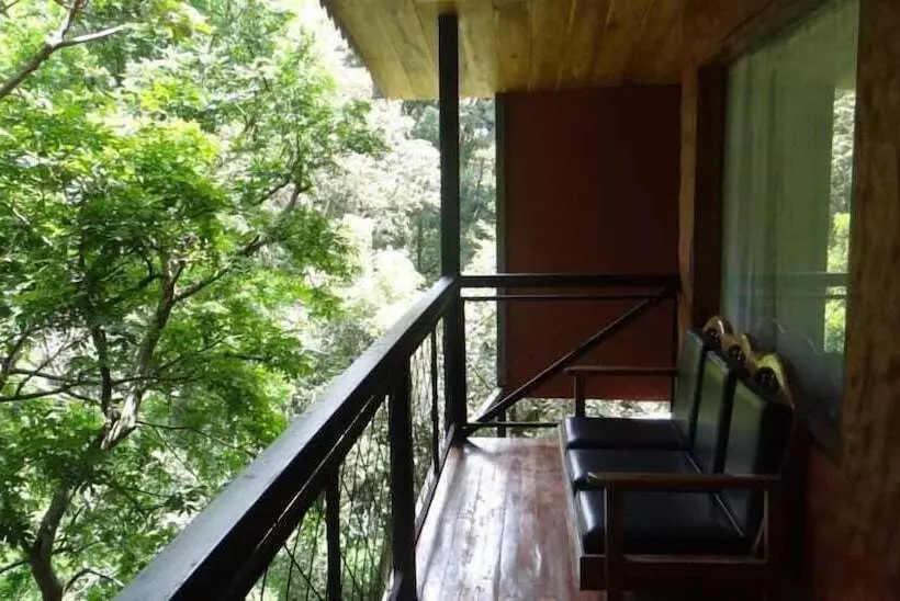 Fotos del hotel Forest Dreams Manakin:  11