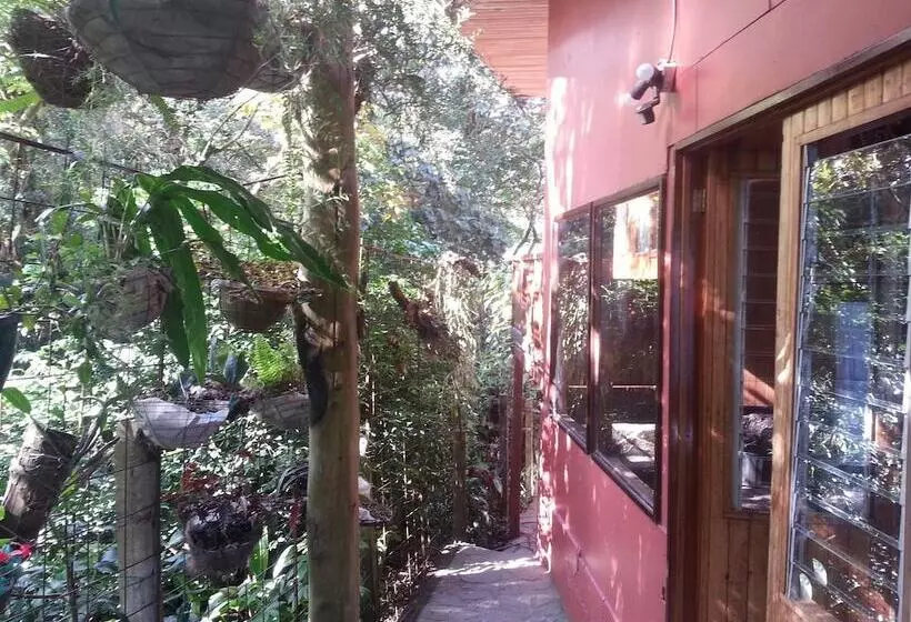 Fotos del hotel Forest Dreams Manakin:  14