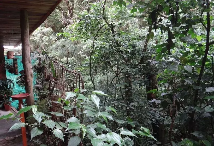 Fotos del hotel Forest Dreams Manakin:  6