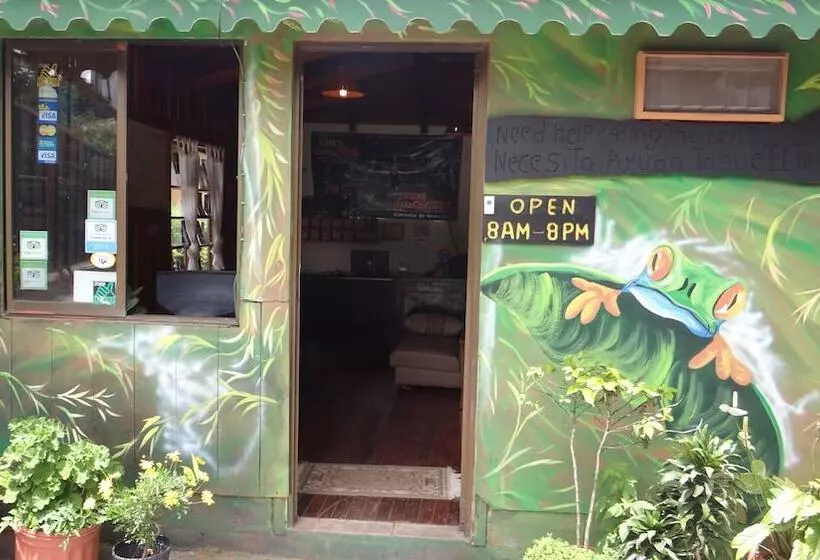 Forest Dreams Manakin