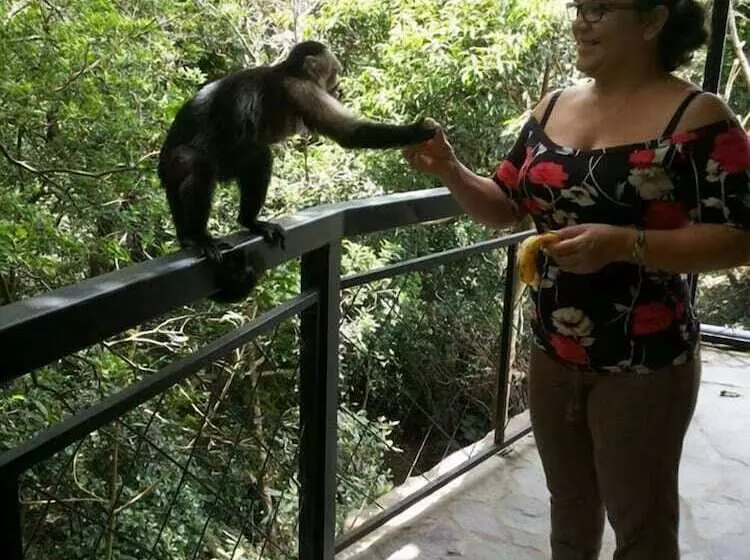 Fotos del hotel Forest Dreams Manakin:  8