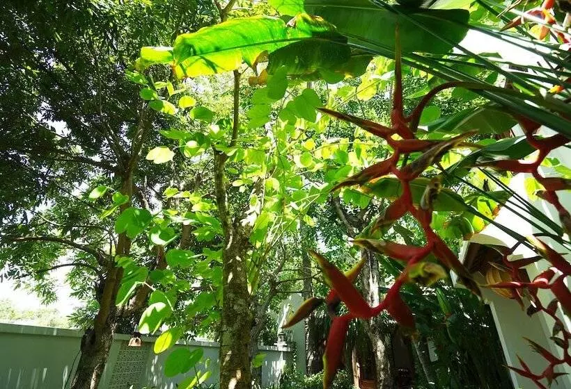 Fotos del hotel Hoi An Chic - Green Retreat:  22