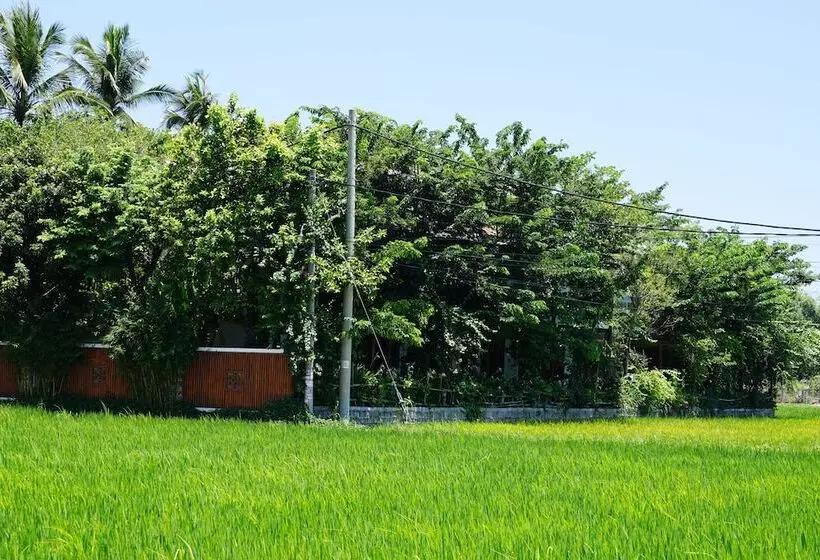 Fotos del hotel Hoi An Chic - Green Retreat:  2
