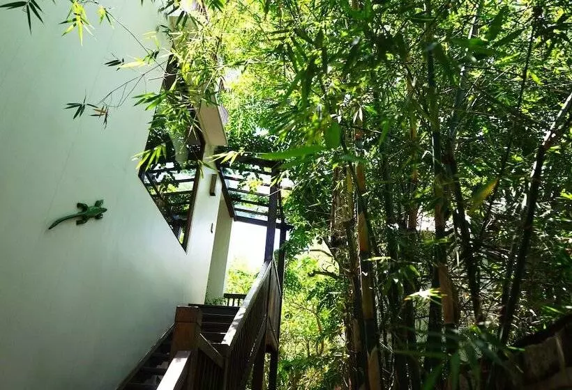 Fotos del hotel Hoi An Chic - Green Retreat:  24