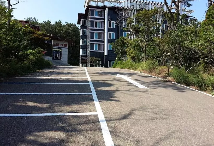 Fotos del hotel Seaworld:  15