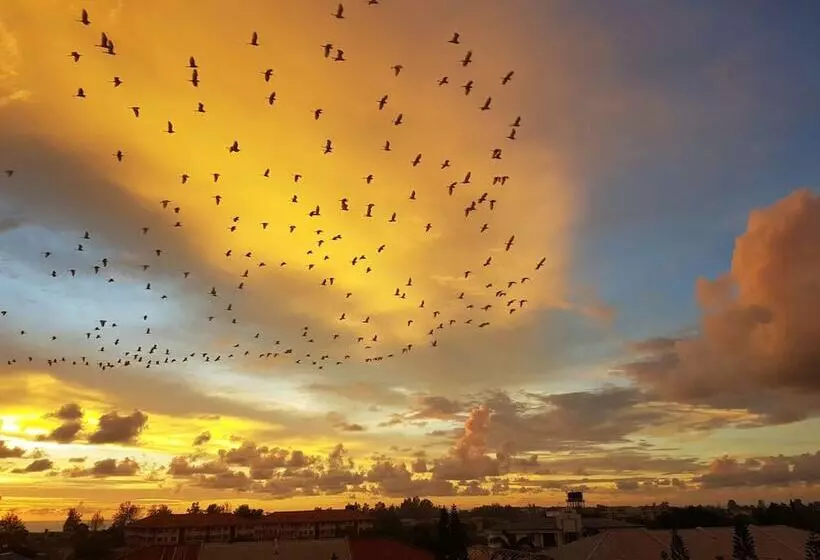 Fotos del hotel Pan Borneo  Kota Kinabalu:  8