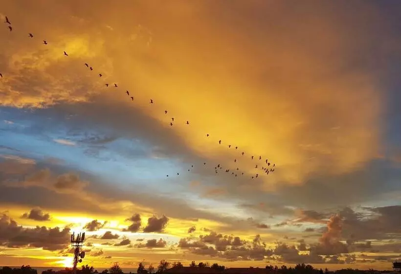 Fotos del hotel Pan Borneo  Kota Kinabalu:  25