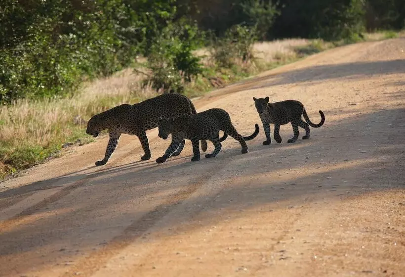 Fotos del hotel River Front:  7