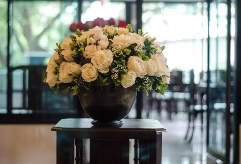 Fotos del hotel The Sun Terrace:  5