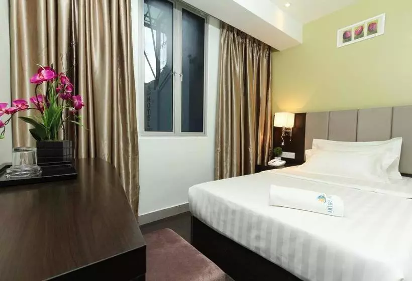 Fotos del hotel Amigo:  14