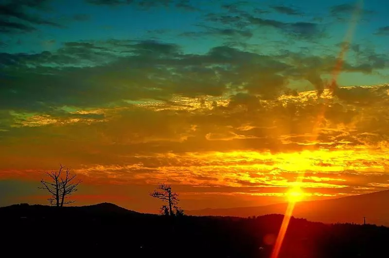 Fotos del hotel Breakfast At Tiffany S:  16