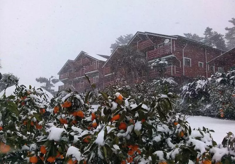 Fotos del hotel Breakfast At Tiffany S:  18