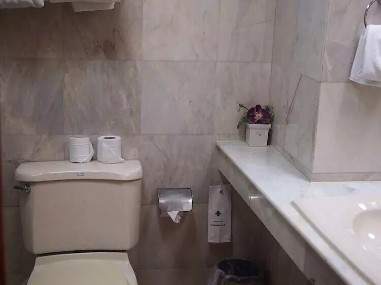 Fotos del hotel Parkway Inn:  8