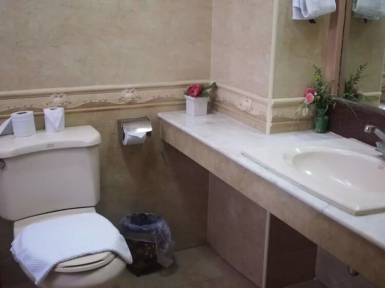 Fotos del hotel Parkway Inn:  18