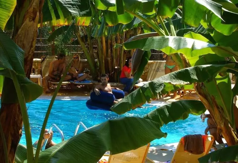 Fotos del hotel Paradise Lost Apartments:  23