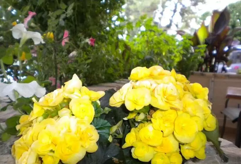 Fotos del hotel Paradise Lost Apartments:  25