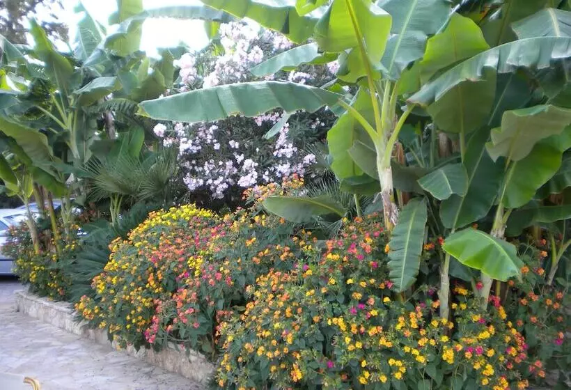 Fotos del hotel Paradise Lost Apartments:  7