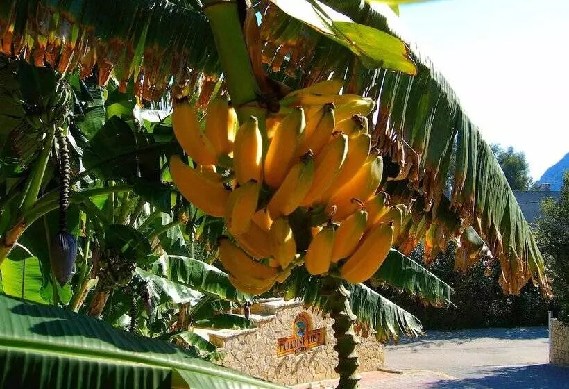 Fotos del hotel Paradise Lost Apartments:  21