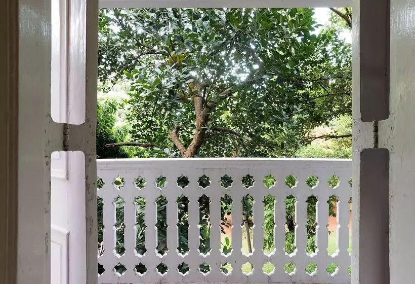 Fotos del hotel Bentleys:  12