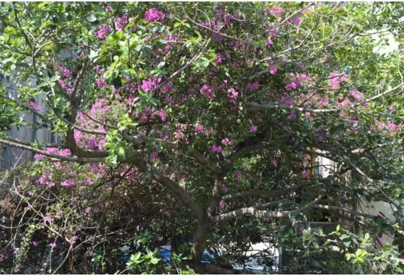 Fotos del hotel Bentleys:  8