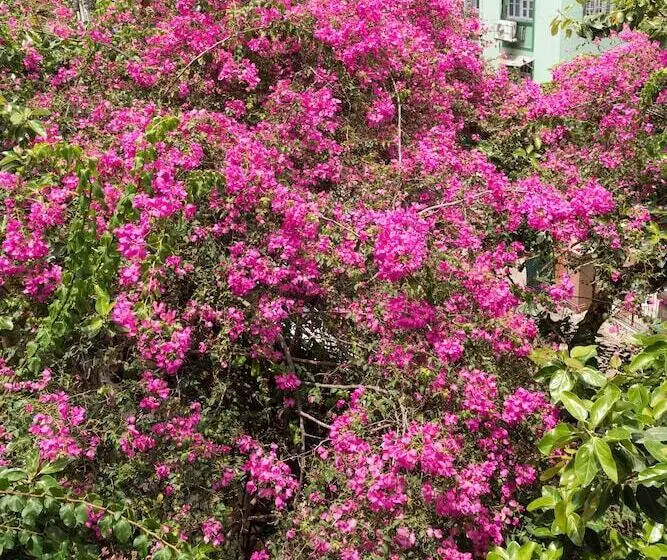 Fotos del hotel Bentleys:  5