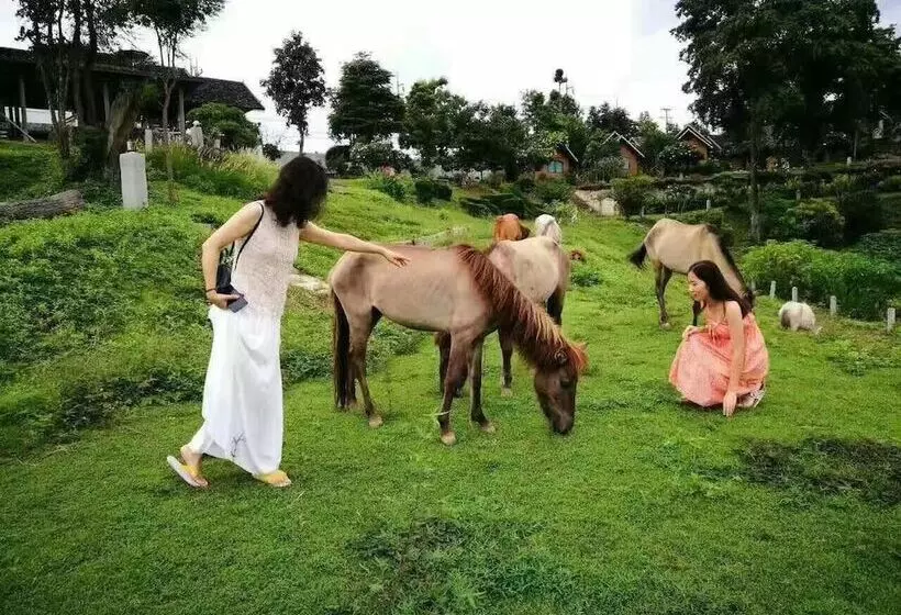 Fotos del hotel Eoutfitting Pai Resort:  20