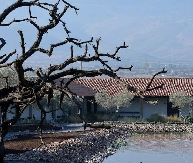 Fotos del hotel Hacienda Los Picachos:  18