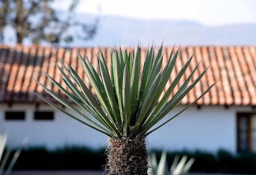 Fotos del hotel Hacienda Los Picachos:  13