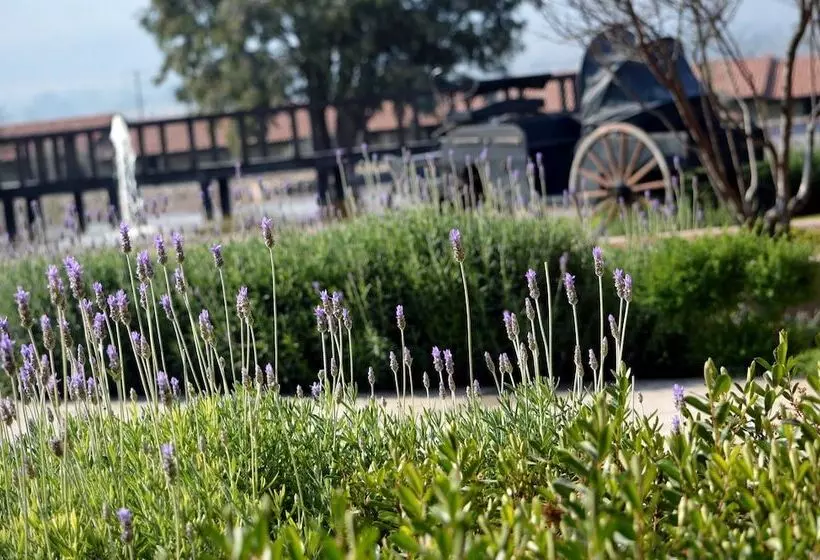 Fotos del hotel Hacienda Los Picachos:  11