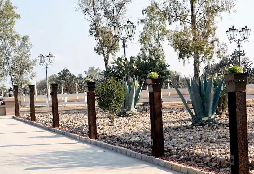 Fotos del hotel Hacienda Los Picachos:  5