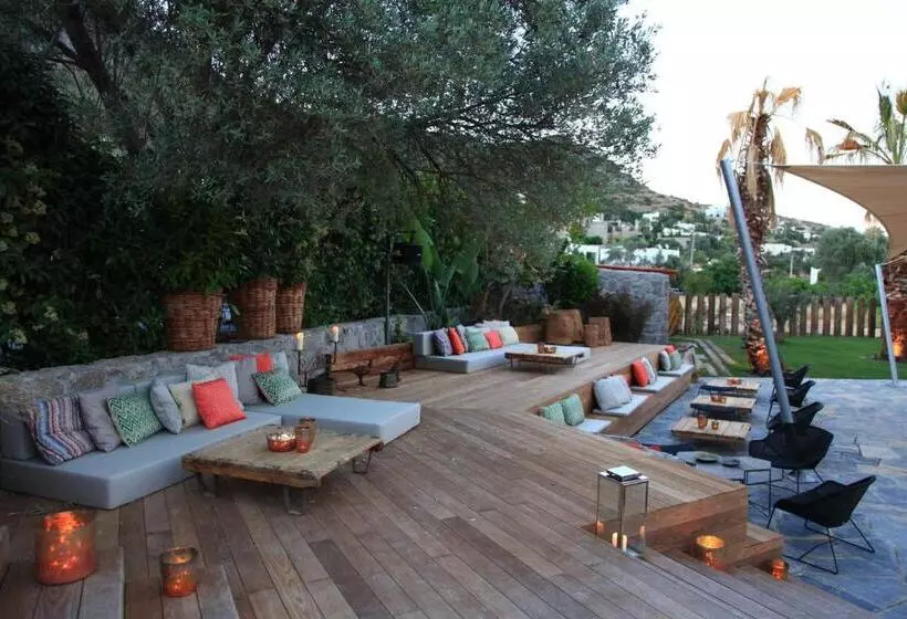 Fotos del hotel Bella Sombra:  5