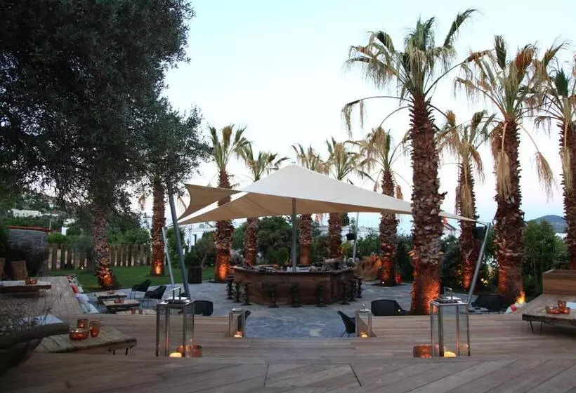 Fotos del hotel Bella Sombra:  23