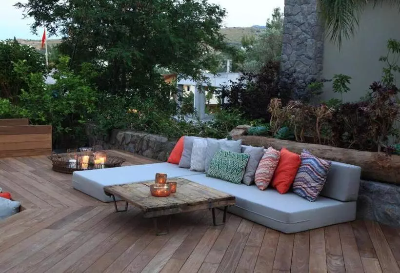 Fotos del hotel Bella Sombra:  16