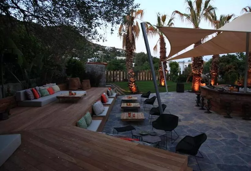 Fotos del hotel Bella Sombra:  17