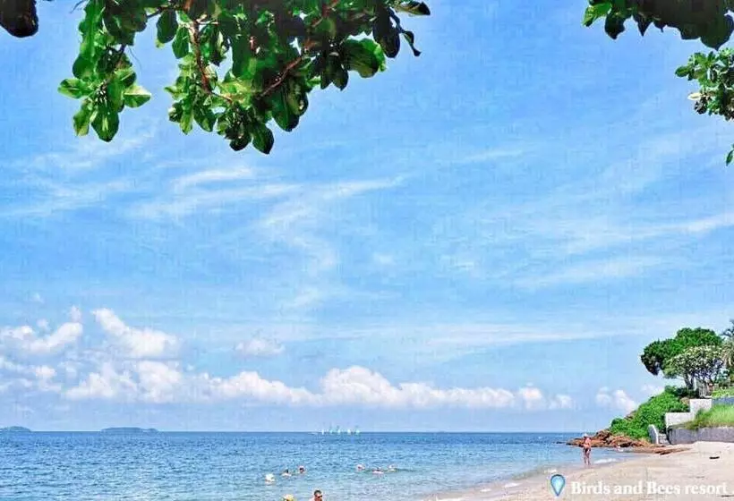 Fotos del hotel Birds And Bees Resort:  6