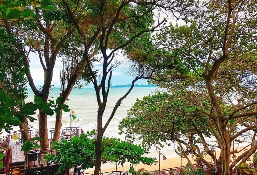 Fotos del hotel Birds And Bees Resort:  11