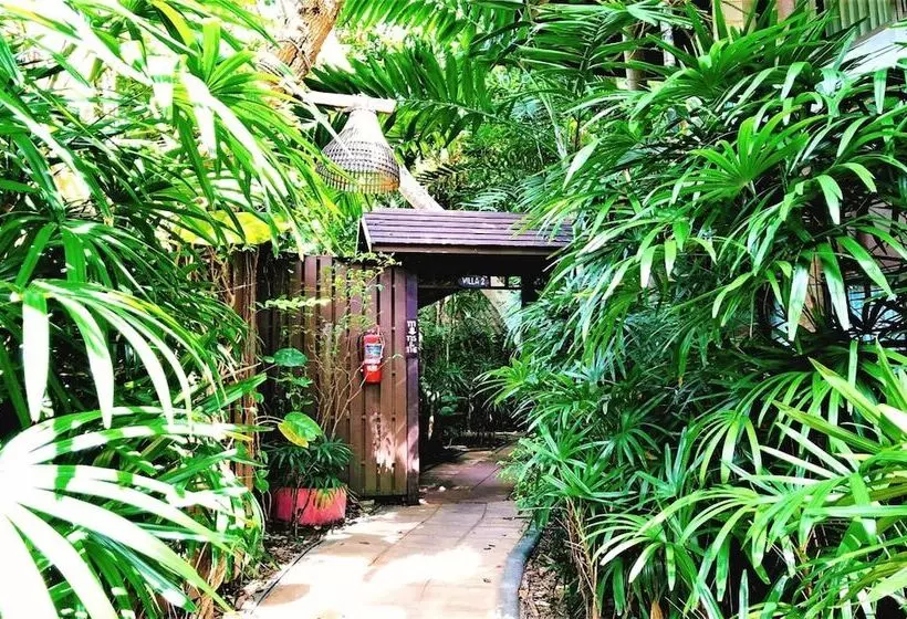 Fotos del hotel Birds And Bees Resort:  21