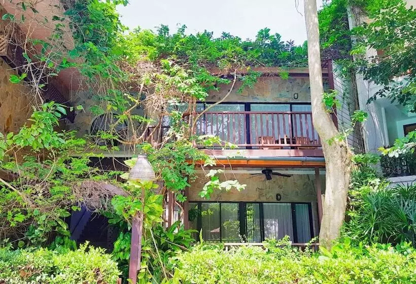 Fotos del hotel Birds And Bees Resort:  23