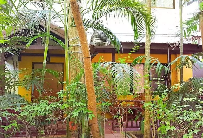 Fotos del hotel Birds And Bees Resort:  13