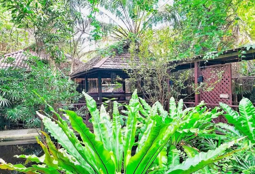 Fotos del hotel Birds And Bees Resort:  17