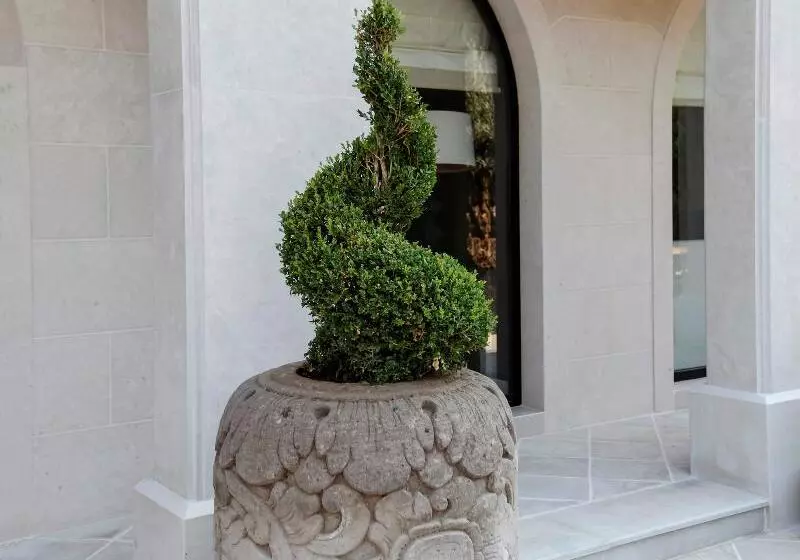 Fotos del hotel Boutique Hotel Casa Del Mare-pietra:  17